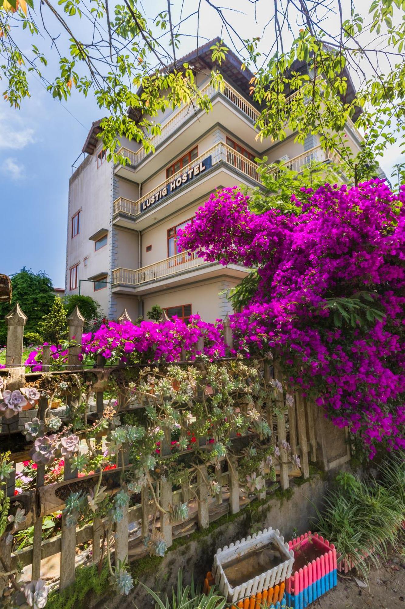 Lustig Hostel 萨帕 外观 照片